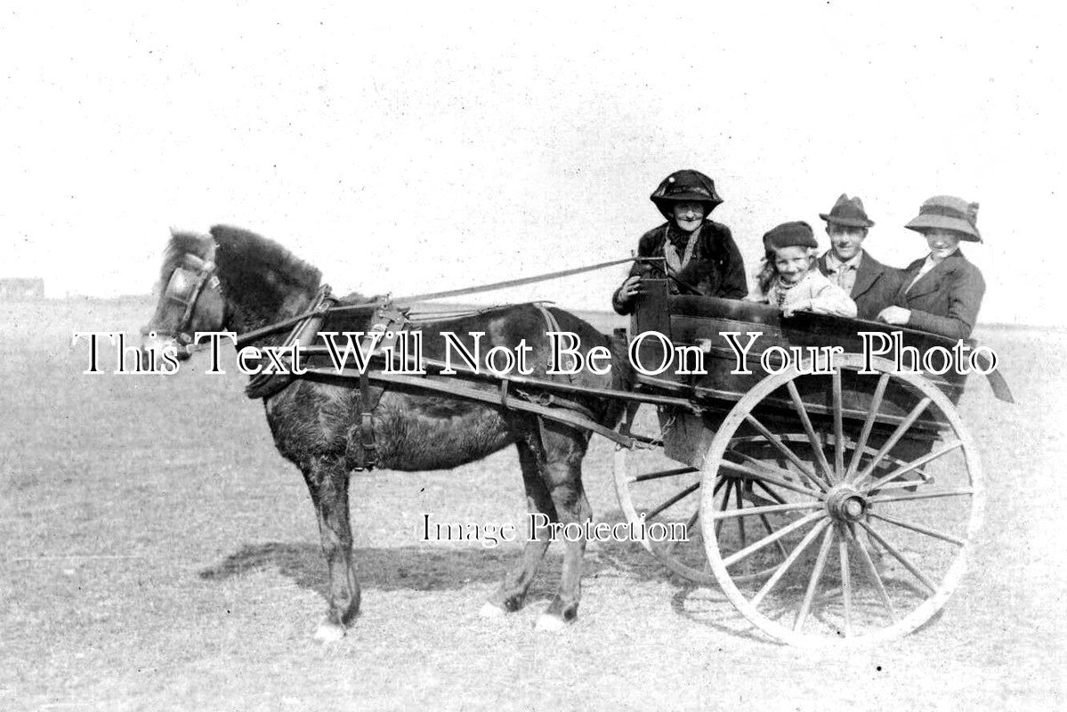 SC 688 - Pony & Trap, Sandwick, Orkney, Scotland