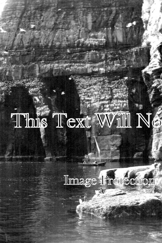 SC 709 - Orkney Island Cliffs, Scotland c1912