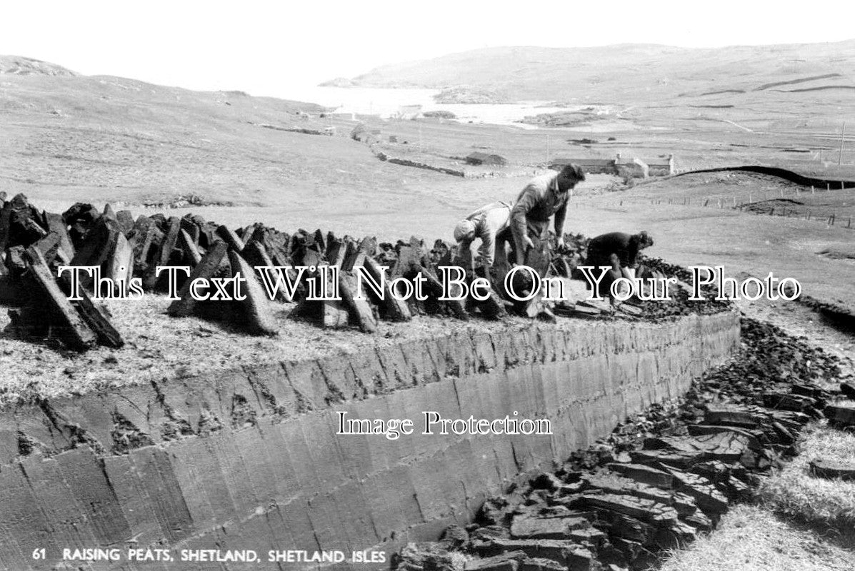 SC 741 - Raising Peats, Shetland Isles, Scotland