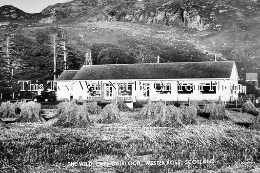 SC 812 - The Wild Cat, Gairloch, Wester Ross, Scotland
