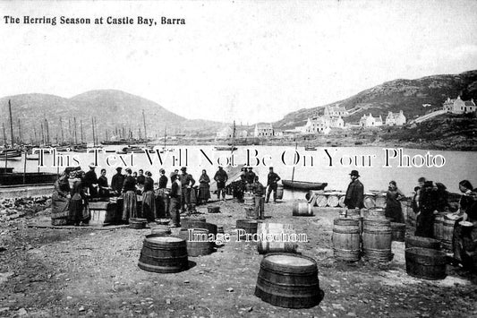 SC 854 - The Herring Season At Castle Bay, Barra, Scotland c1905
