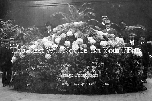 SC 893 - Galashiels Flower Show, Scotland 1905