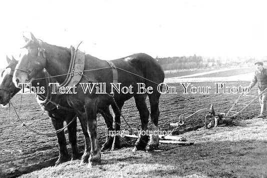 SC 894 - Newmilns Farming Scene, Scotland 1911