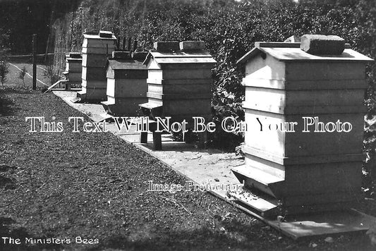 SC 899 - The Ministers Bees, The Manse, Davidson Mains, Edinburgh