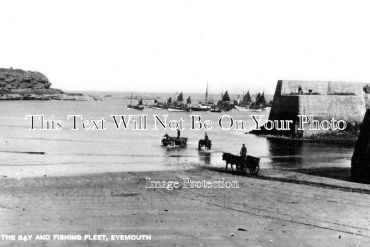 SC 966 - The Bay & Fishing Fleet, Eyemouth, Berwickshire, Scotland