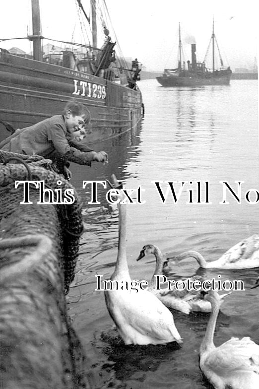 SF 1352 - Trawl Dock, Lowestoft, Suffolk c1935