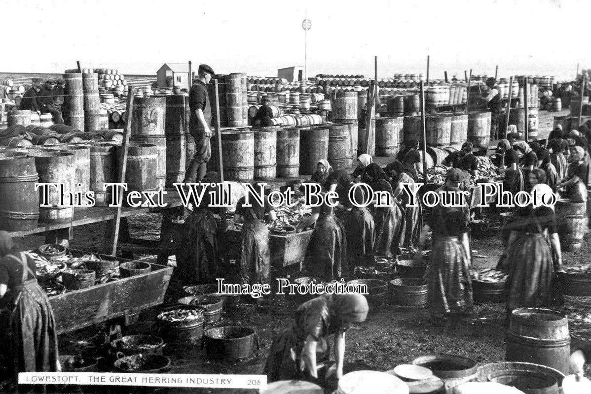 SF 1490 - The Great Herring Industry, Lowestoft, Suffolk