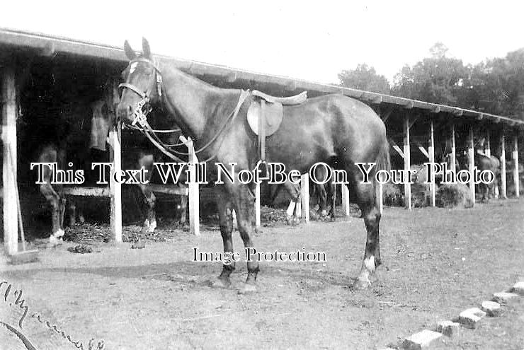 SF 1817 - Montgomeryshire Yeomanry, Rendlesham Camp Horse Stables, Suffolk