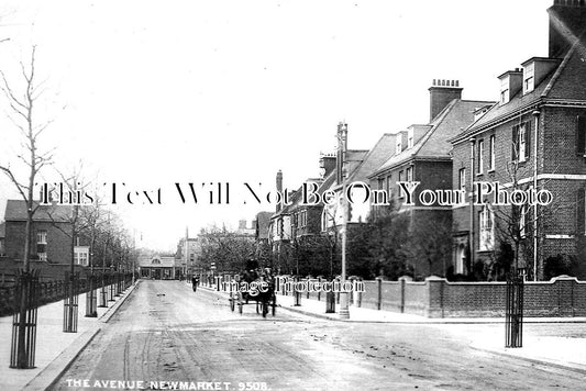 SF 1871 - The Avenue, Newmarket, Suffolk c1910