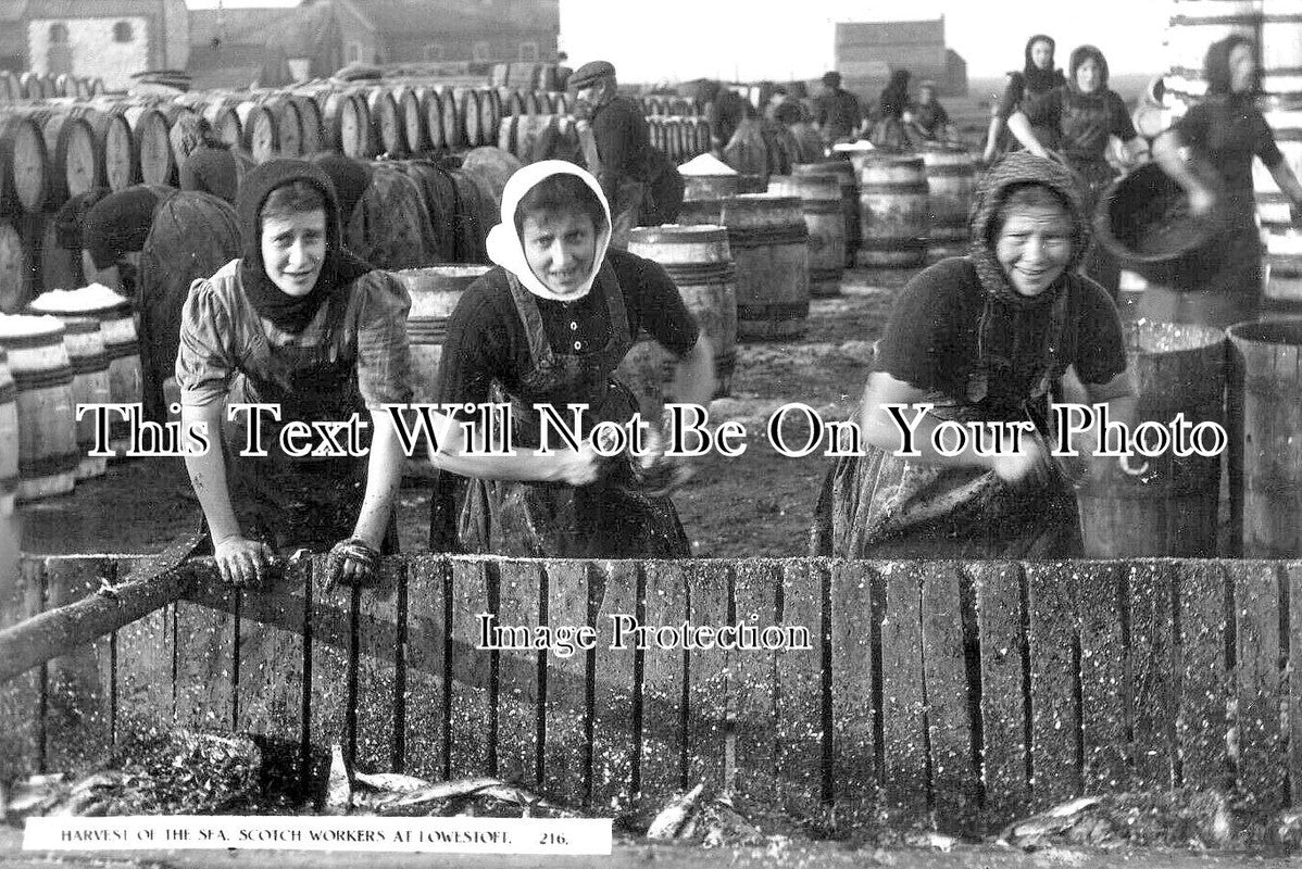 SF 2616 - Scotch Ladies Herring Workers, Lowestoft, Suffolk