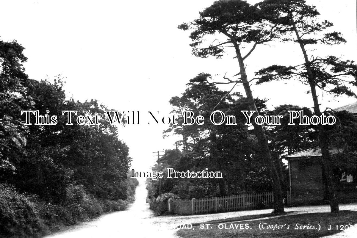 SF 2839 - Lowestoft Road, St Olaves, Suffolk c1914