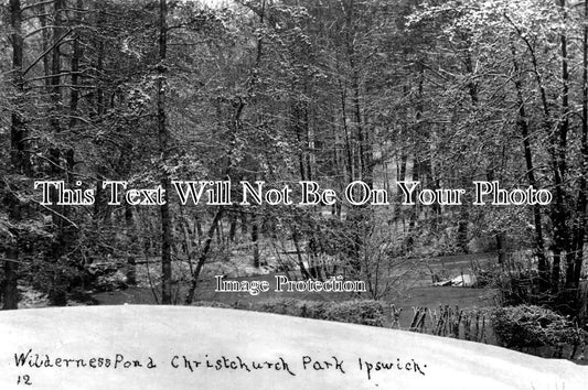 SF 352 - Wilderness Pond, Christchurch Park, Ipswich, Suffolk