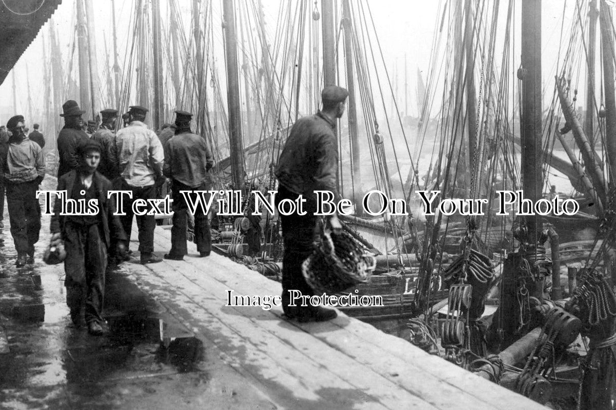 SF 367 - Trawlers At Lowestoft Fishmarket, Suffolk