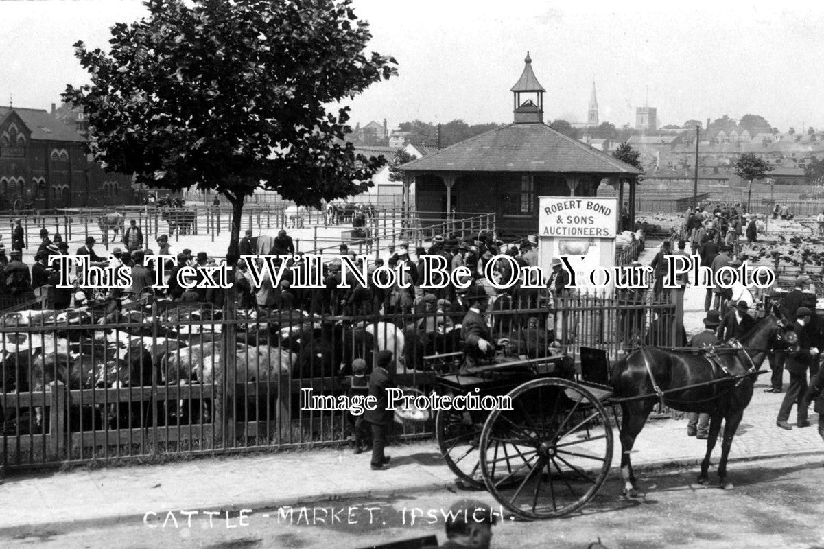 SF 368 - The Cattle Market, Ipswich, Suffolk