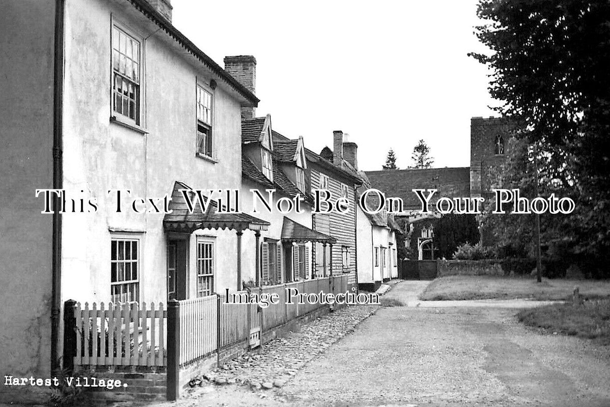 SF 3798 - Hartest Village, Suffolk