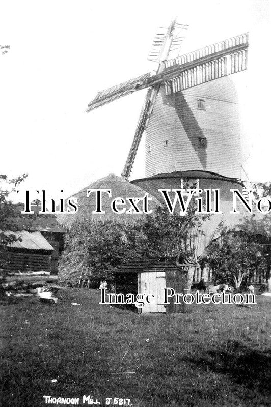 SF 3908 - Thorndon Mill, Windmill, Suffolk