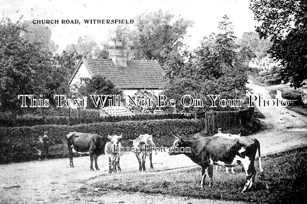 SF 3935 - Church Road, Withersfield, Suffolk c1908