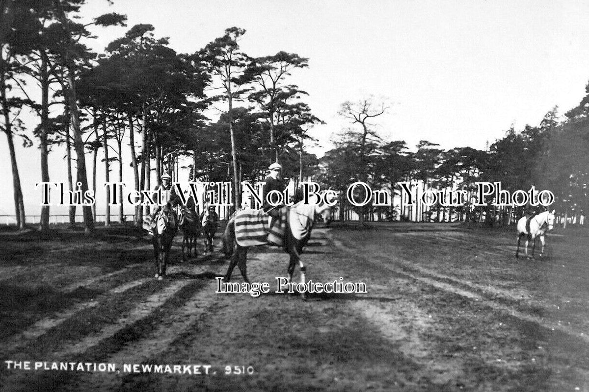 SF 4173 - The Plantation, Newmarket, Suffolk c1911