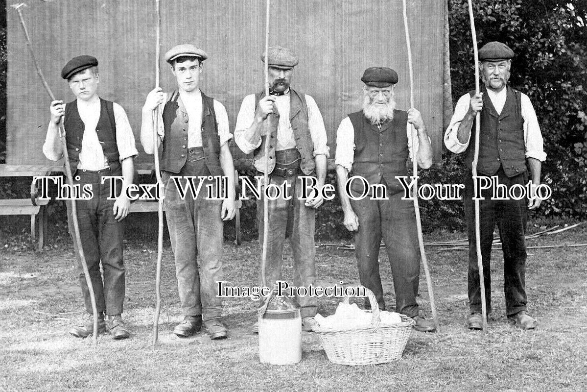 SF 4461 - Walnut Picking, Boxted Hall Near Hartest, Suffolk