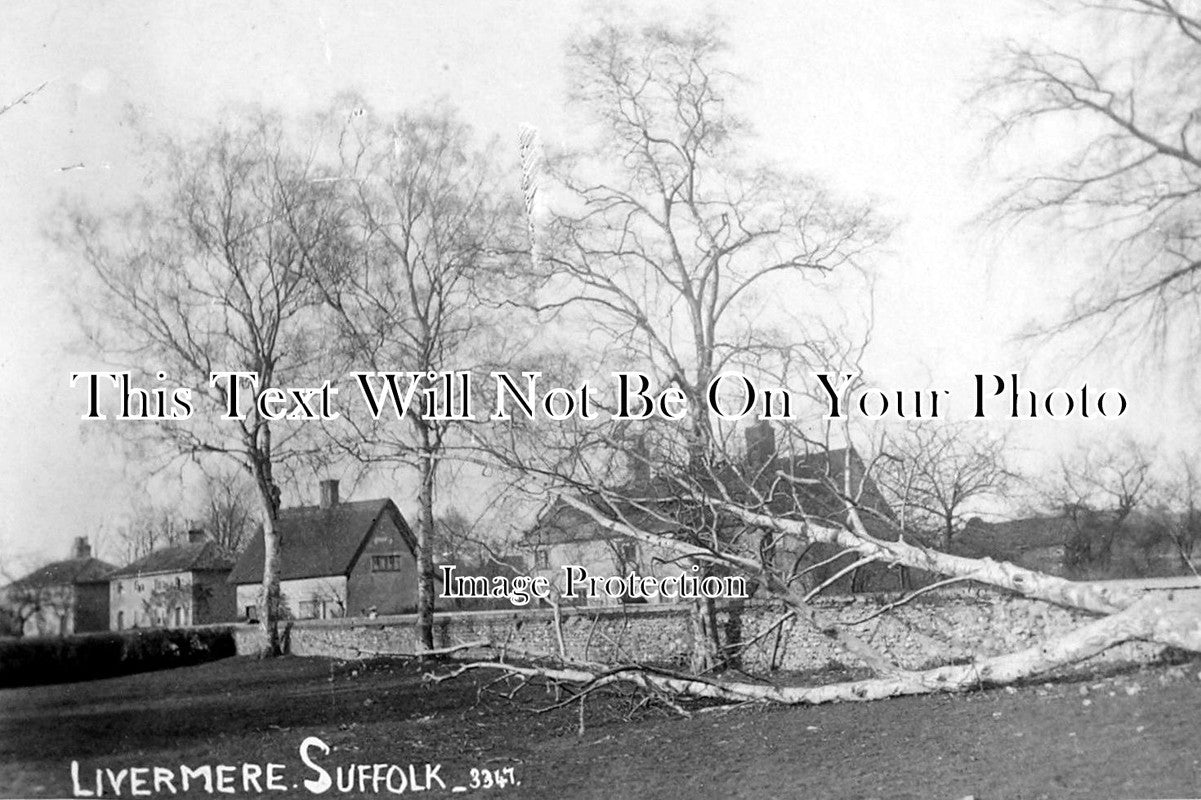 SF 481 - Livermere, Bury St Edmunds, Suffolk c1906