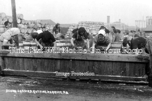 SF 502 - Scotch Lassies Gutting Herring, Lowestoft, Suffolk