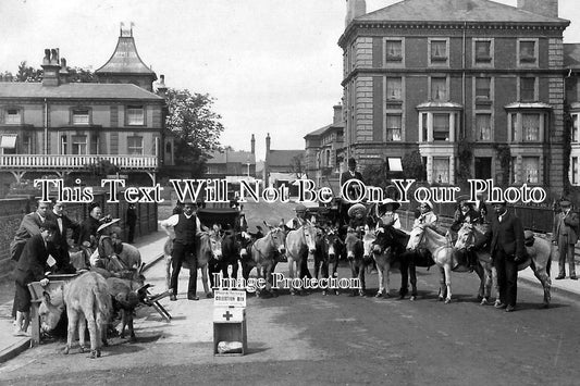 SF 600 - Donkeys On Collection Day, Lowestoft, Suffolk