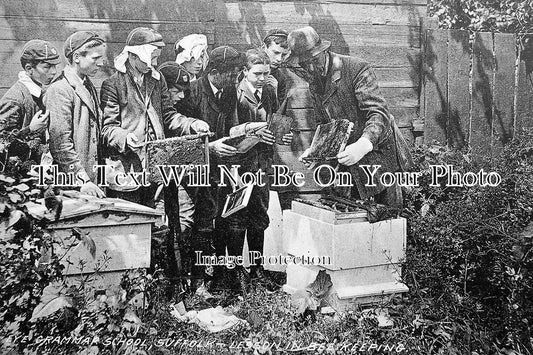 SF 741 - Beekeeping Apiary, Eye Grammar School, Suffolk