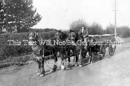 SF 743 - West Row Farmer, Mildenhall, Suffolk c1912