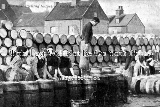 SF 812 - Packing Herrings, Lowestoft Fishing Industry, Suffolk