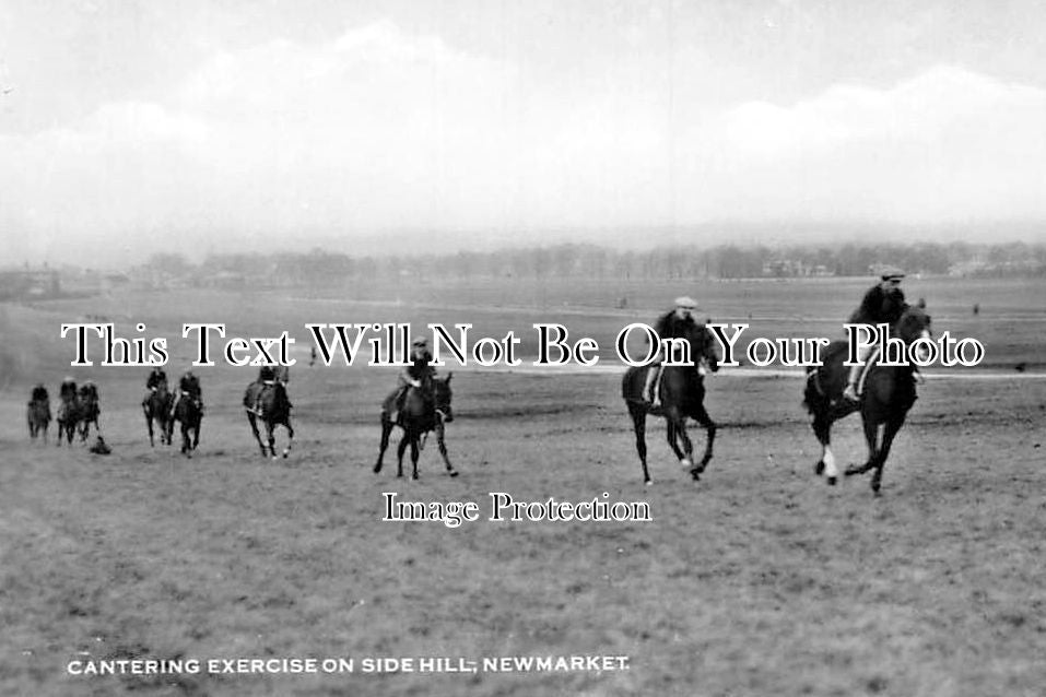 SF 914 - Cantering Exercise On Side Hill, Newmarket, Suffolk