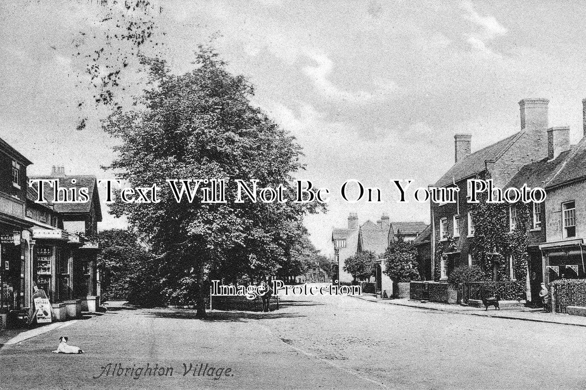 SH 137 - Albrighton Village, Shropshire c1909