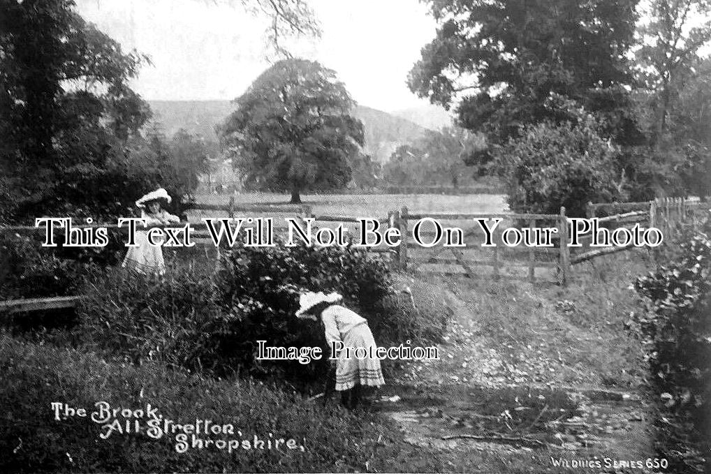 SH 651 - The Brook, All Stretton, Shropshire c1911