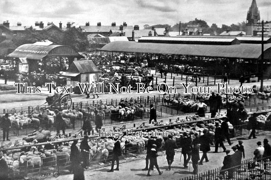 SH 665 - Cattle Market, Oswestry, Shropshire