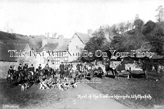 SH 855 - Meet Of The Ludlow Hounds, Whitbatch, Shropshire