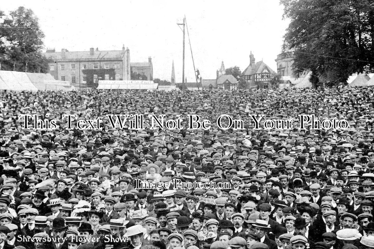 SH 927 - Shrewsbury Flower Show, Shropshire c1908