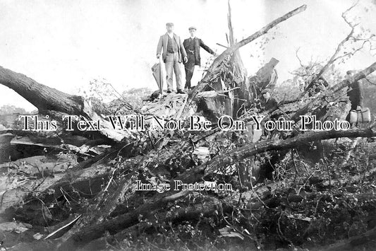 SH 952 - Fallen Tree, Newport, Shropshire c1907