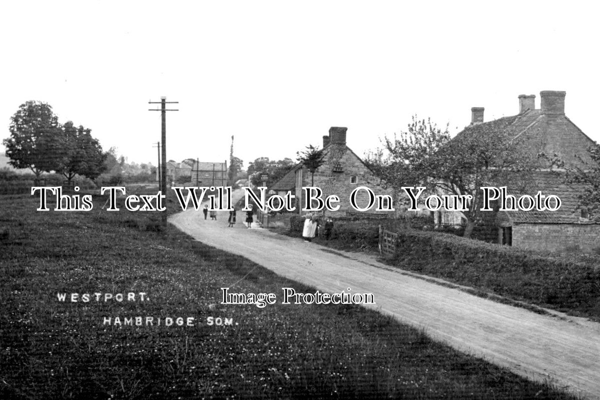 SO 1032 - Westport, Hambridge, Somerset