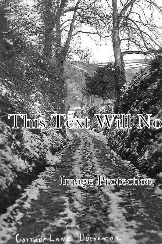 SO 1168 - Cottage Lane, Dulverton, Somerset c1910