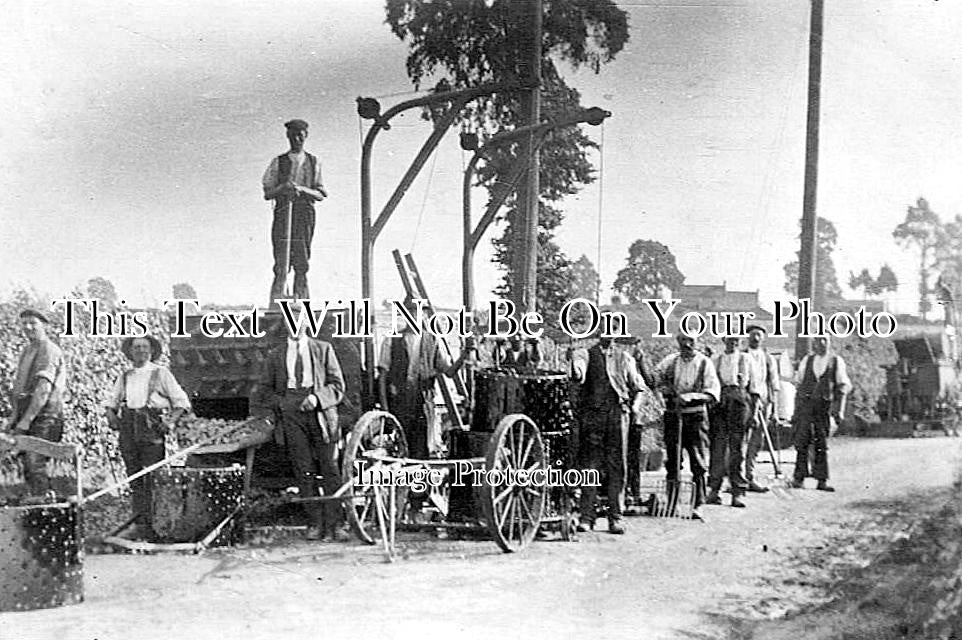 SO 1171 - Fruit Picking Near Taunton, Somerset c1911