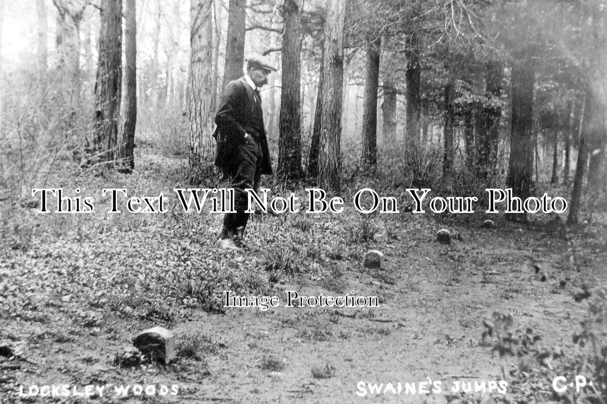 SO 1183 - Swaines Jumps Locksley Woods, Shapwick, Somerset c1910