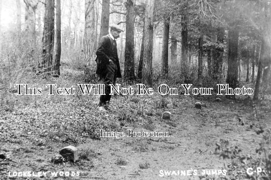 SO 1183 - Swaines Jumps Locksley Woods, Shapwick, Somerset c1910