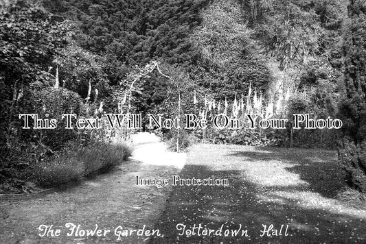 SO 1292 - The Flower Garden, Totterdown Hall, Somerset