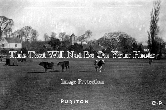 SO 137 - Puriton, Somerset