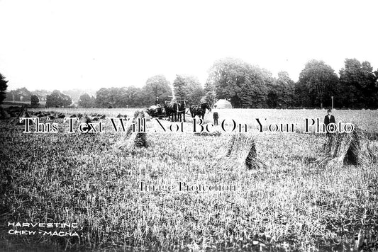 SO 1471 - Harvest At Chew Magna, Somerset