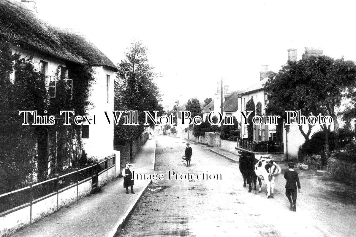 SO 1482 Long Street, Williton, Somerset JB Archive