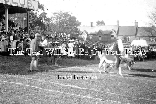 SO 1511 - Donkey Racing At Yeovil, Somerset