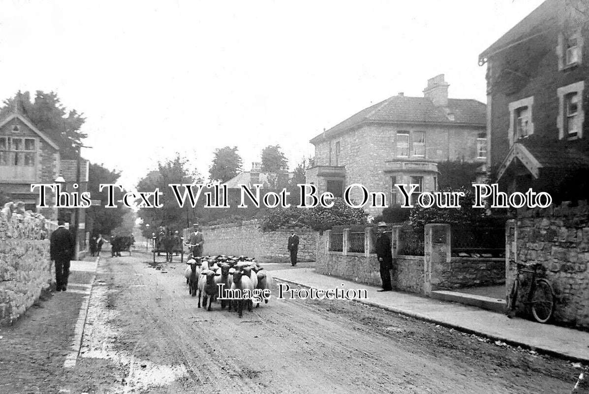 SO 1613 - Yatton, Somerset c1907