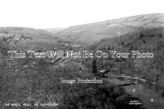 SO 1663 - The Barle Valley At Dulverton, Somerset c1929