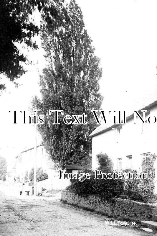 SO 1703 - Williton, Somerset