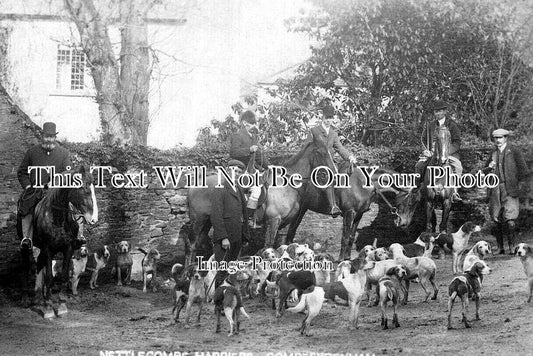 SO 1893 - Nettlecombe Harriers At Combe Sydenham, Somerset c1905